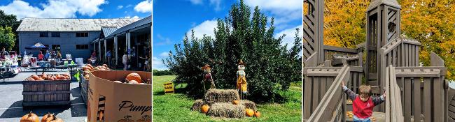 pumpkins for sale at farm store, pumpkin and scarecrow display, kid on playground in fall