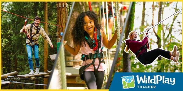 Wildplay thatcher display ad banner - kids playing on adventure course