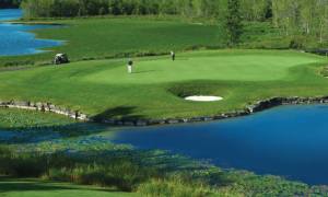 saratoga national golf course