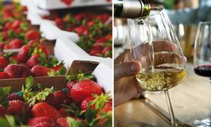 starwberries on the left, wine being poured on the right