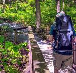 hiker on trail