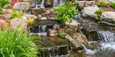 small waterfall with plants