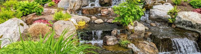 small waterfall with plants