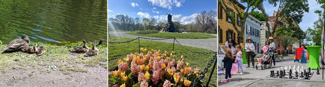 baby ducks, flowers in washington park, people at art on lark