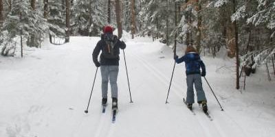 people cross-country skiing