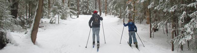 people cross-country skiing