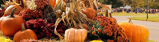 pumpkin and gourd display in foreground, crowd at event in background at saratoga spa state park