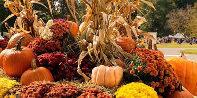 pumpkin and gourd display in foreground, crowd at event in background at saratoga spa state park