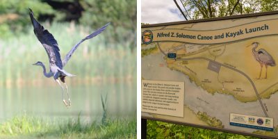 heron flying on the left, hudson crossing park sign with heron on it on the right