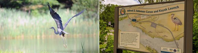 heron flying on the left, hudson crossing park sign with heron on it on the right