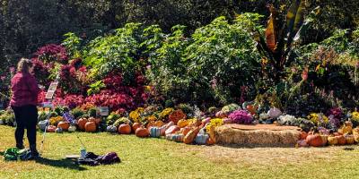 woman about to paint pumpkin display in saratoga spa state park