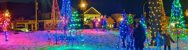 lit up trees and lights in lake george