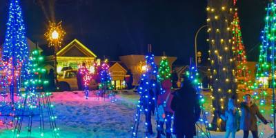 lit up trees and lights in lake george