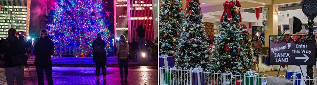 outdoor christmas tree on left, tree by santa sign in mall on the right