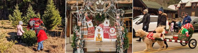 family getting christmas tree, photo spot with bench and decorations, and christmas parade