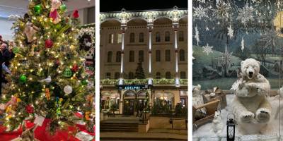 festival of trees, adlephi decked out for the holidays, wintery store window