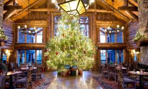 dining area with giant christmas tree