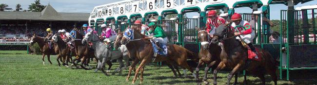 horses racing on turf