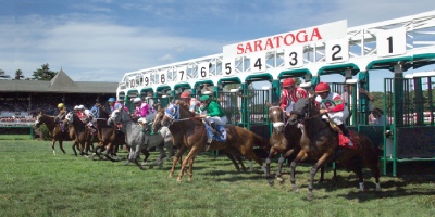 horses racing on turf