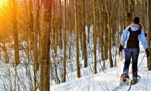 person snowshoeing in the woods at sunset