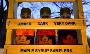 maple syrup bottles in a row from amber to very dark