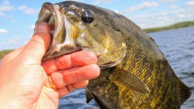 hand holding up fish over lake