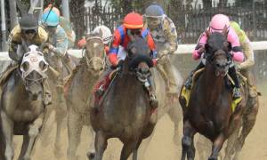 horses racing