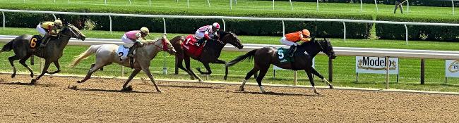 horses racing on a dirt track