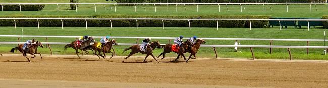 horses racing