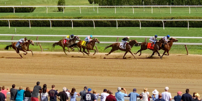 horses racing