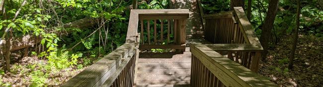 wooded platform in hiking trail