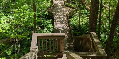 wooded platform in hiking trail