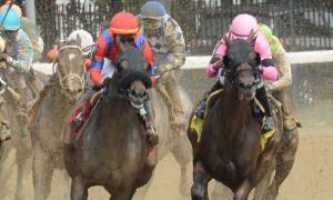 horses racing