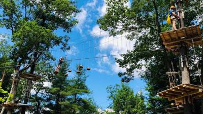 treetop adventure course