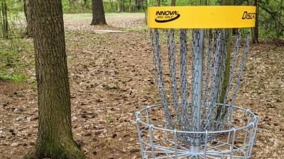 disc golf basket