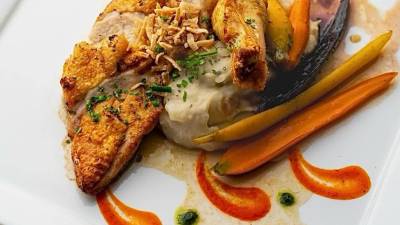 elegant food plated