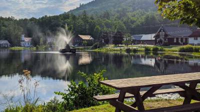 brant lake