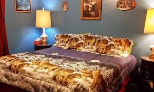 bed with wolf comforter and decor