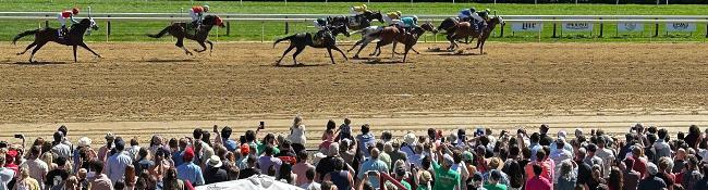 horse racing at saratoga race course