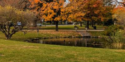 congress park in the fall
