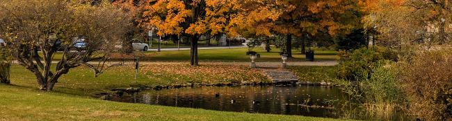 congress park in the fall