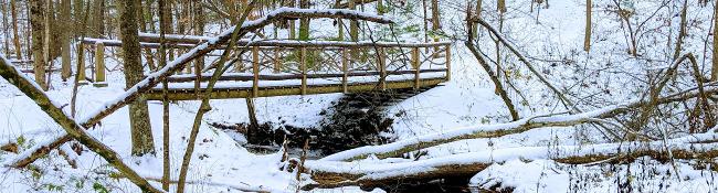 hiking bridge in winter