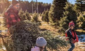 dad with kids getting christmas tree