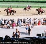 people watching horses at the track