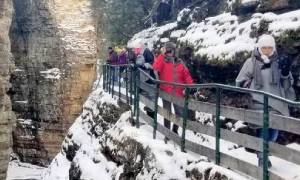 people on walkway in winter