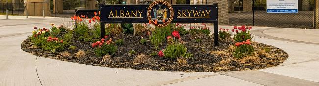 spring flowers by albany skyway sign