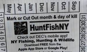 nys hunting fishing license