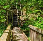 wooden platforms and stairs in woods