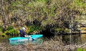 a woman paddling
