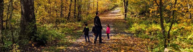 rush pond trail in fall, family hiking